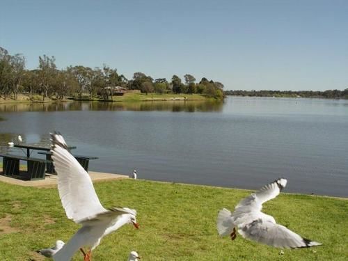 Centre Town Motel Nagambie Εξωτερικό φωτογραφία